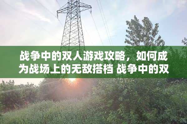 战争中的双人游戏攻略，如何成为战场上的无敌搭档 战争中的双人游戏攻略