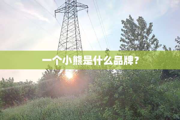 一个小熊是什么品牌？