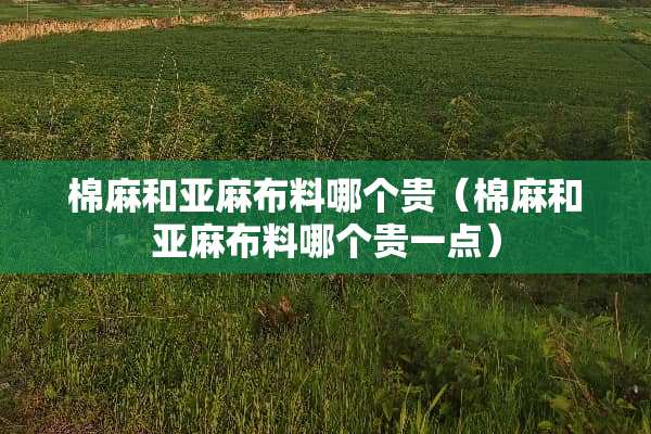 棉麻和亚麻布料哪个贵(棉麻和亚麻布料哪个贵一点) 棉麻和亚麻布料哪个贵(棉麻和亚麻布料哪个贵一点)