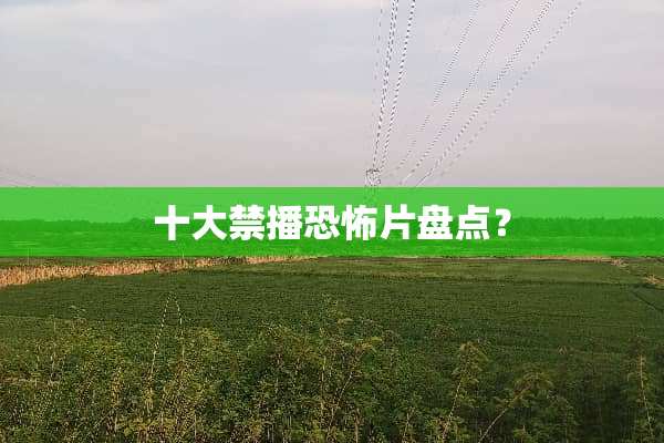 十**播恐怖片盘点？