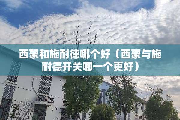 西蒙和施耐德哪个好（西蒙与施耐德开关哪一个更好）