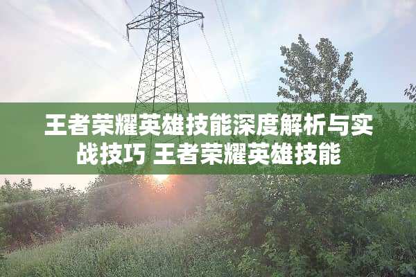 王者荣耀英雄技能深度解析与实战技巧 王者荣耀英雄技能