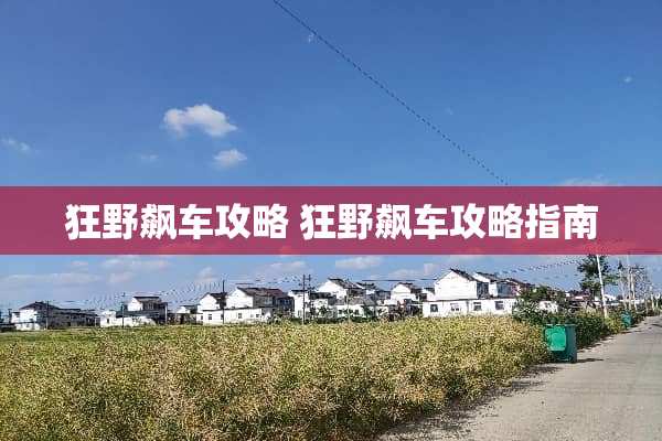 狂野飙车攻略 狂野飙车攻略指南