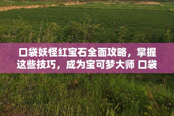 口袋妖怪红宝石全面攻略，掌握这些技巧，成为宝可梦大师 口袋妖怪红宝石攻略