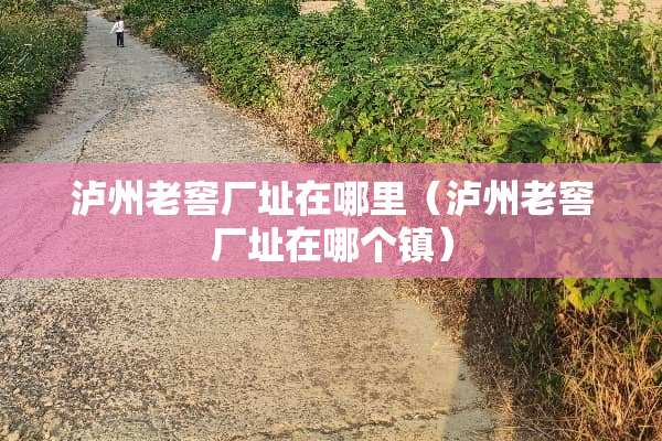 泸州老窖厂址在哪里（泸州老窖厂址在哪个镇）