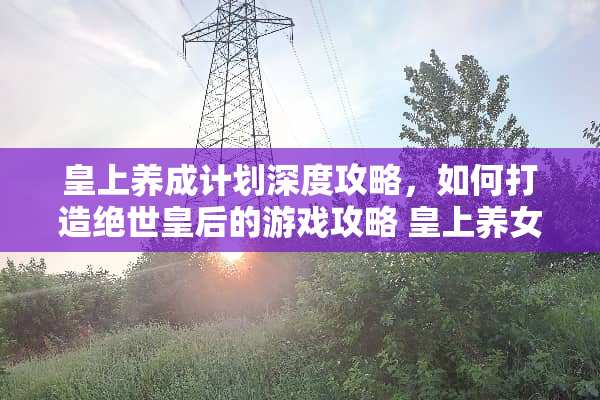 皇上养成计划深度攻略，如何打造绝世皇后的游戏攻略 皇上养女人游戏攻略