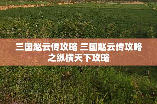 三国赵云传攻略 三国赵云传攻略之纵横天下攻略