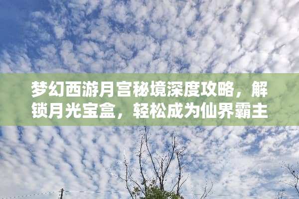 梦幻西游月宫秘境深度攻略，解锁月光宝盒，轻松成为仙界霸主 梦幻西游月宫攻略