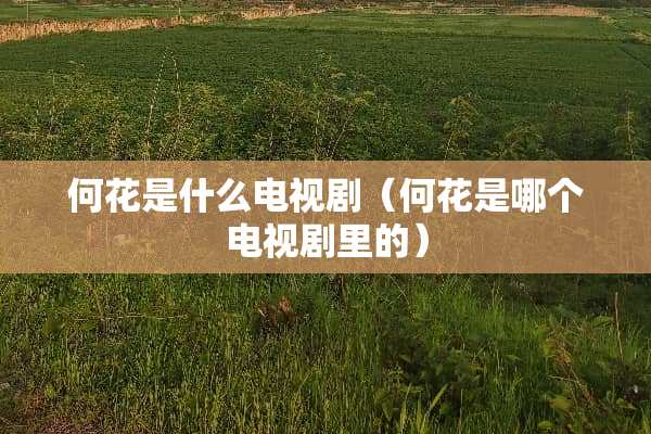 何花是什么电视剧（何花是哪个电视剧里的）