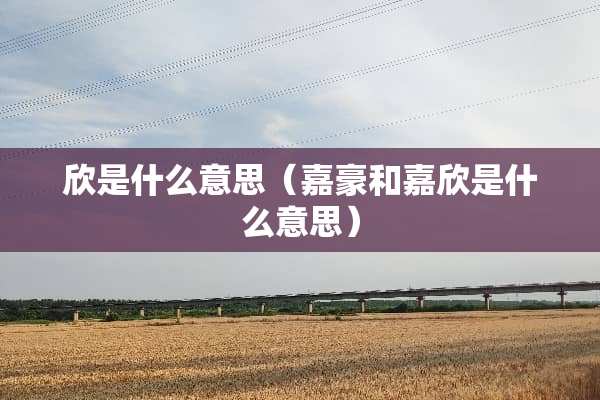 欣是什么意思（嘉豪和嘉欣是什么意思）