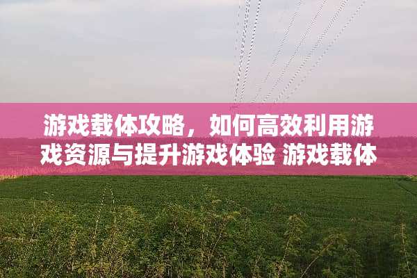 游戏载体攻略，如何高效利用游戏资源与提升游戏体验 游戏载体攻略