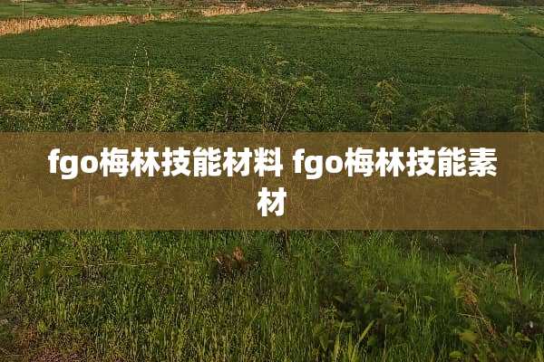 fgo梅林技能材料 fgo梅林技能素材