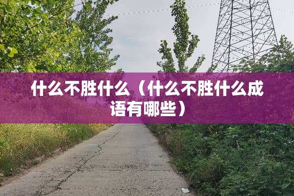 什么不胜什么（什么不胜什么成语有哪些）