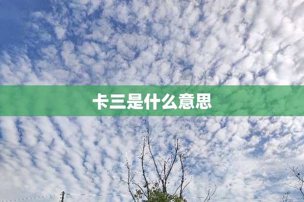 卡三是什么意思
