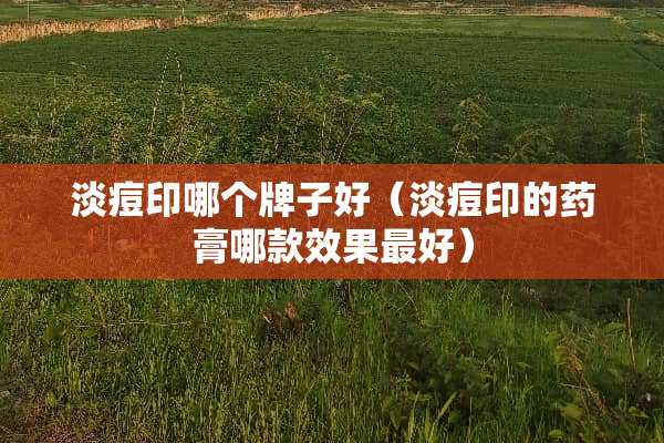 淡痘印哪个牌子好（淡痘印的药膏哪款效果最好）