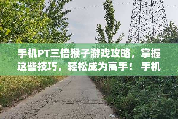 手机PT三倍猴子游戏攻略，掌握这些技巧，轻松成为高手！ 手机pt三倍猴子的玩法