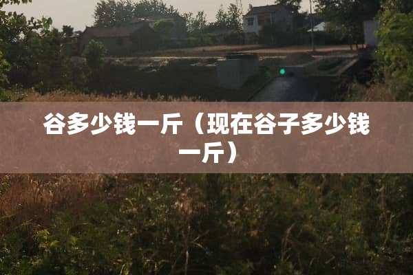 谷多少钱一斤（现在谷子多少钱一斤）