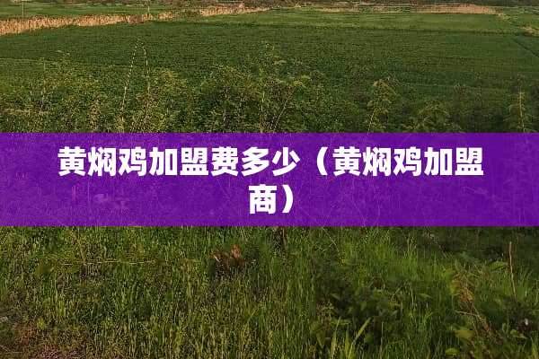 黄焖鸡加盟费多少（黄焖鸡加盟商）