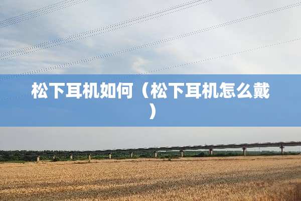 松下耳机如何（松下耳机怎么戴）