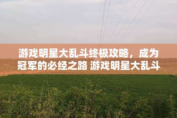 游戏明星大乱斗终极攻略，成为冠军的必经之路 游戏明星大乱斗攻略