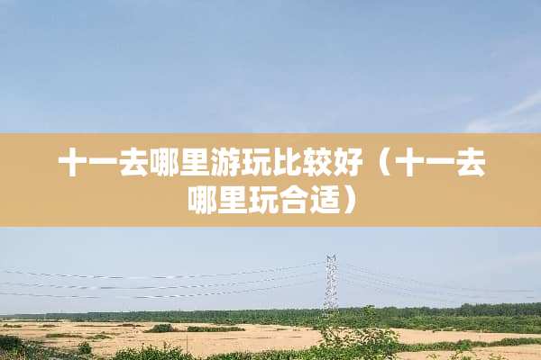 十一去哪里游玩比较好（十一去哪里玩合适）