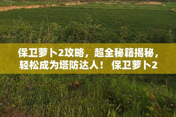 保卫萝卜2攻略，超全秘籍揭秘，轻松成为塔防达人！ 保卫萝卜2攻略58