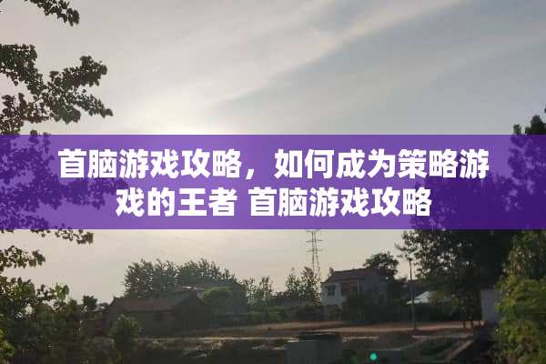 首脑游戏攻略，如何成为策略游戏的王者 首脑游戏攻略