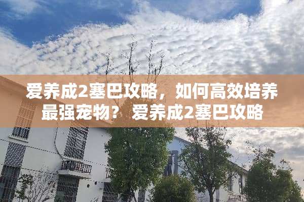 爱养成2塞巴攻略，如何高效培养最强宠物？ 爱养成2塞巴攻略
