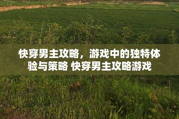 快穿男主攻略，游戏中的独特体验与策略 快穿男主攻略游戏