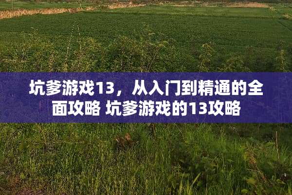 坑爹游戏13，从入门到精通的全面攻略 坑爹游戏的13攻略