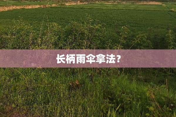 长柄雨伞拿法？