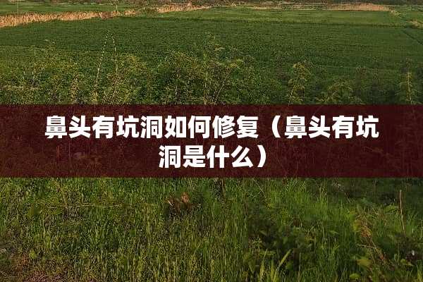 鼻头有坑洞如何修复（鼻头有坑洞是什么）