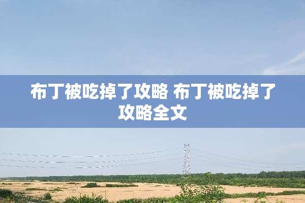 布丁被吃掉了攻略 布丁被吃掉了攻略全文