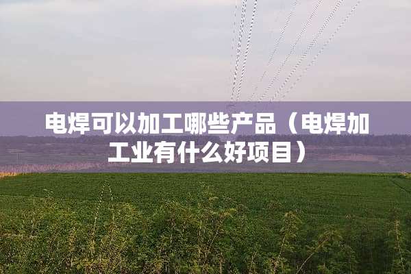 电焊可以加工哪些产品（电焊加工业有什么好项目）