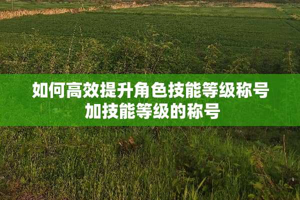 如何高效提升角色技能等级称号 加技能等级的称号