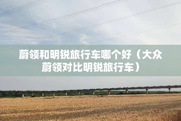 蔚领和明锐旅行车哪个好(大众蔚领对比明锐旅行车) 蔚领和明锐旅行车哪个好(大众蔚领对比明锐旅行车)