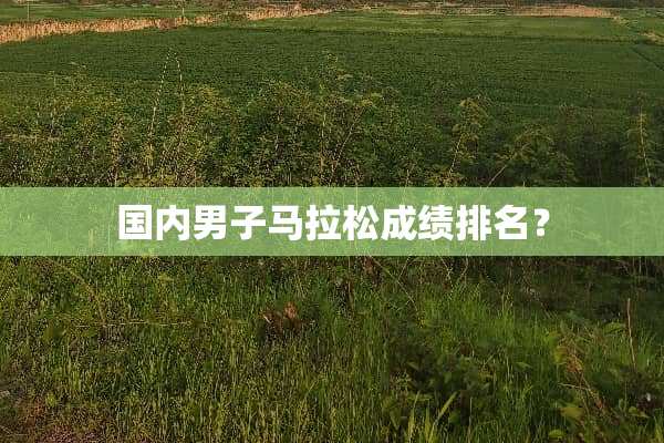 国内男子马拉松成绩排名？