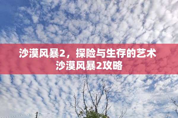 沙漠风暴2，探险与生存的艺术 沙漠风暴2攻略