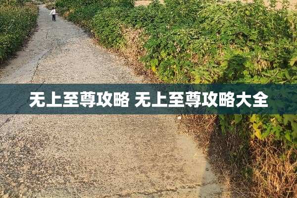 无上至尊攻略 无上至尊攻略大全