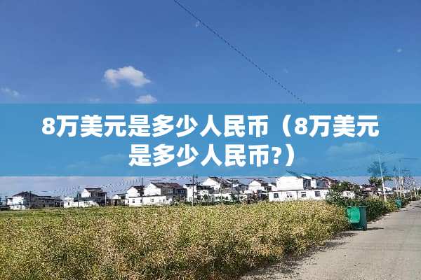 8万美元是多少人民币（8万美元是多少人民币?）