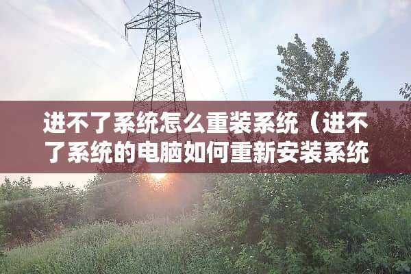 进不了系统怎么重装系统（进不了系统的电脑如何重新安装系统）