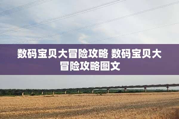 数码宝贝大冒险攻略 数码宝贝大冒险攻略图文
