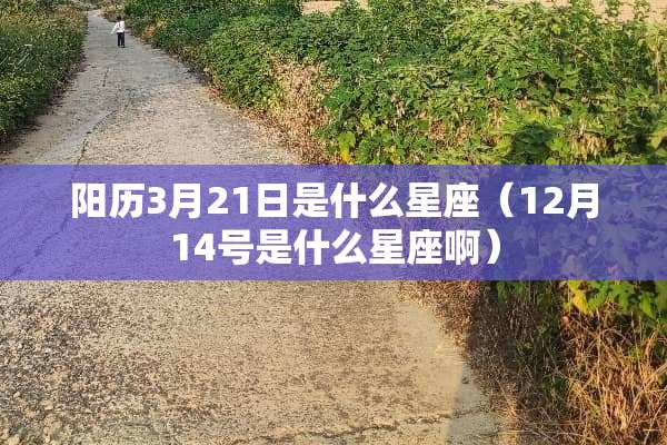 阳历3月21日是什么星座(12月14号是什么星座啊) 阳历3月21日是什么星座(12月14号是什么星座啊)