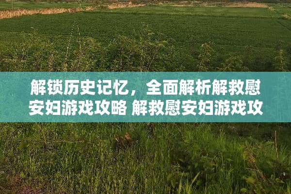 解锁历史记忆，全面解析解救***游戏攻略 解救***游戏攻略