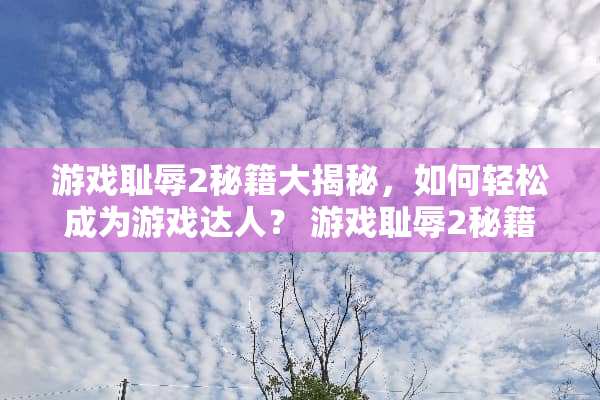 游戏耻辱2秘籍大揭秘，如何轻松成为游戏达人？ 游戏耻辱2秘籍攻略