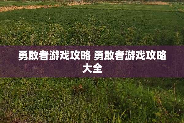 勇敢者游戏攻略 勇敢者游戏攻略大全