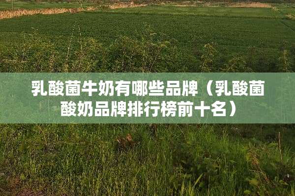乳酸菌牛奶有哪些品牌（乳酸菌酸奶品牌排行榜前十名）