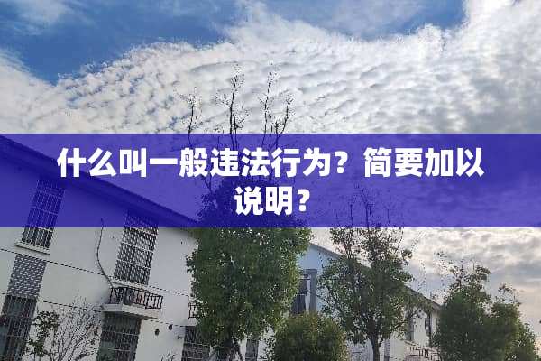 什么叫一般违法行为？简要加以说明？