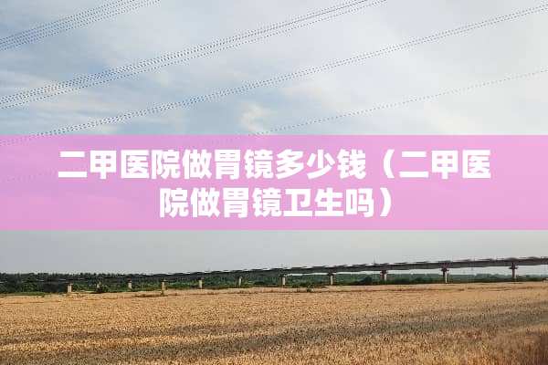 二甲医院做胃镜多少钱（二甲医院做胃镜卫生吗）