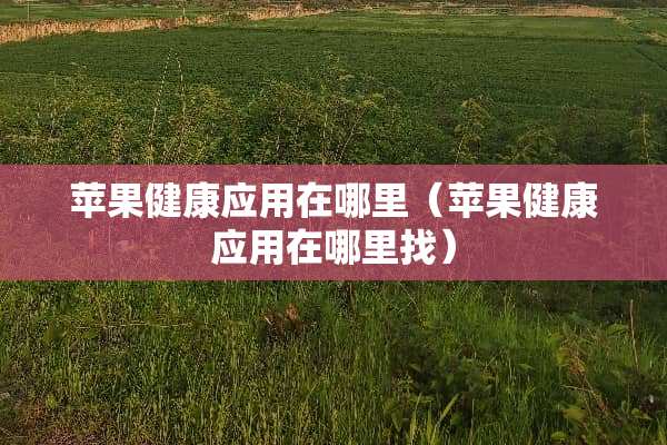 苹果健康应用在哪里（苹果健康应用在***）